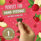 Burgess Excel Nature Snacks Winter Berry Bakes with Cranberry & Apple (60g)