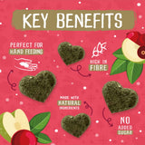 Burgess Excel Nature Snacks Winter Berry Bakes with Cranberry & Apple (60g)