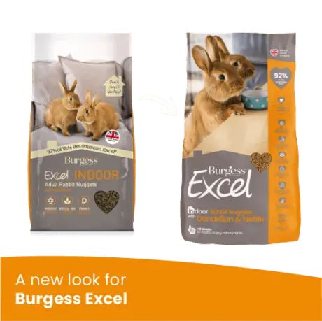 Burgess excel on sale