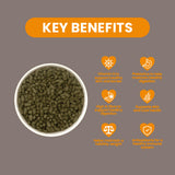 Burgess Excel Indoor Rabbit Nuggets with Dandelion & Nettle (1.5kg)