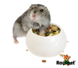 Rodipet Ceramic Bowl (5.5cm Ø)