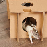 Oxbow Enriched Life Explore & Hide Customizable Maze Small (for hamster, rat, mouse and gerbil)