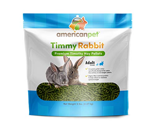 American Pet Timmy Rabbit (5lb)