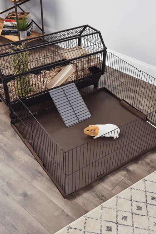 Oxbow rabbit habitat with play yard top