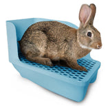 Kuohu Corner Toilet with Deep Pan