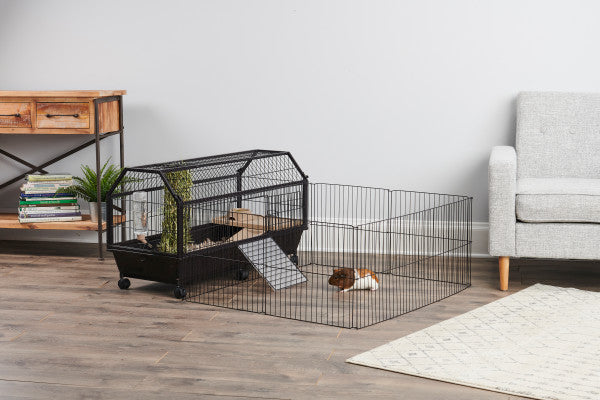 Oxbow guinea pig & dwarf rabbit habitat with play sale yard