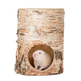 Niteangel Natural Birch Trunk Hideout Small (8x8x14cm)