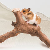 Niteangel Grapevine Trunk (35x33cm)