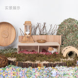 Niteangel Viewing Gallery Small (28x13.5x11cm)