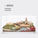 Niteangel Viewing Gallery Large (36x16.3x13.5cm)