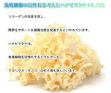 Wooly Rabbit's Power (120 Tablets)