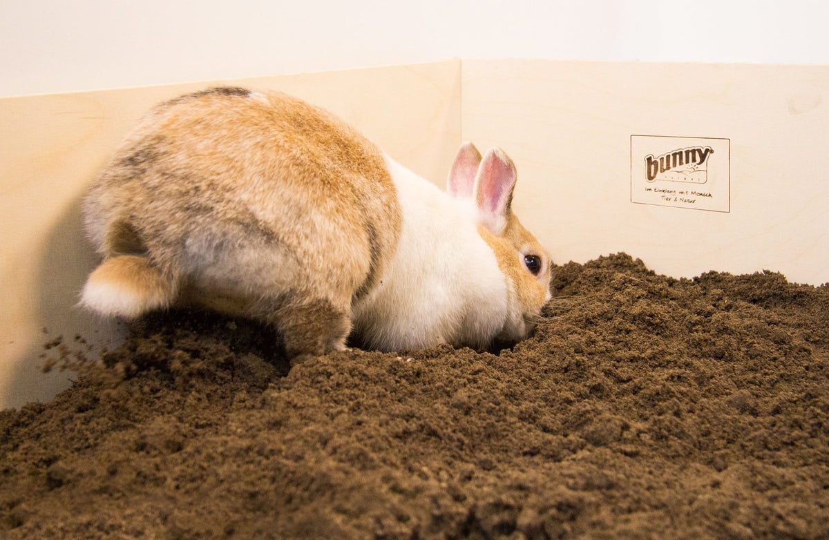 Indoor rabbit digging box best sale