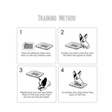 Absorb Plus Antibacteria Training Pee Pads (Small 100PCS 35X45cm)