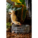 Exo Terra Tiki Water Dish (8.2x7.3x3cm)