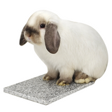 Wild Sanko Cool Marble Large (26X19X1.5cm)