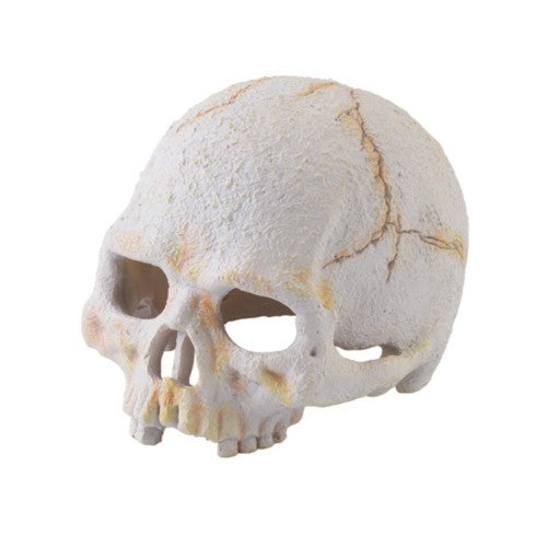Exo Terra Primate Skull Small (10x8x8cm)