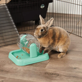 Oxbow Enriched Life Rolly Teaser