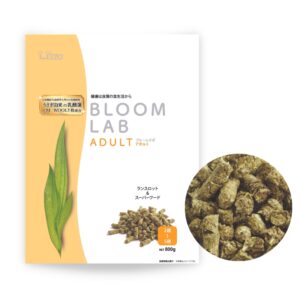 Wooly Bloom LAB Adult (800g) - 2 to 5 years old