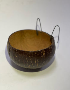 Coconut Bowl