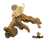 Rodipet Vine Wood (~40-50cm)
