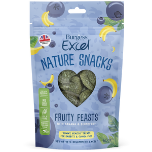 Burgess Excel Natural Snacks Fruit Feasts (60g)