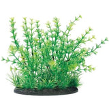 GEX Mix Plants L Ambulia (13x13x23cm)