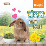 Jolly Dandelion (50g)
