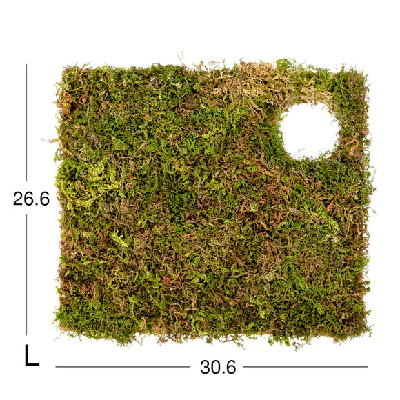 Niteangel Moss Mat For 2-3 Rooms Hideout Large (30.6x26.6cm)