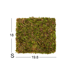 Niteangel Moss Mat For 2 Rooms Hideout Small (19.8x18cm)