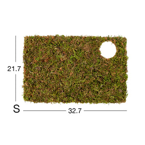 Niteangel Moss Mat For 6 Rooms Hideout Small (32.7x21.7cm)