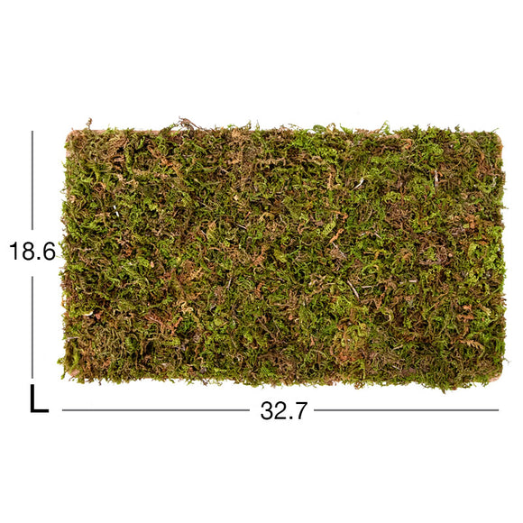 Niteangel Moss Mat For 2 Rooms Hideout Large (32.7x18.6cm)