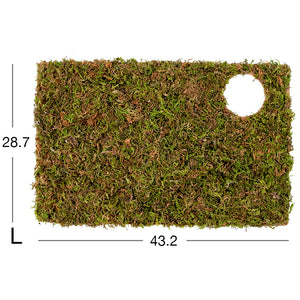 Niteangel Moss Mat For 6 Rooms Hideout Large (43.2x28.7cm)