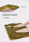 Niteangel Moss Mat For 2 Rooms Hideout Large (32.7x18.6cm)