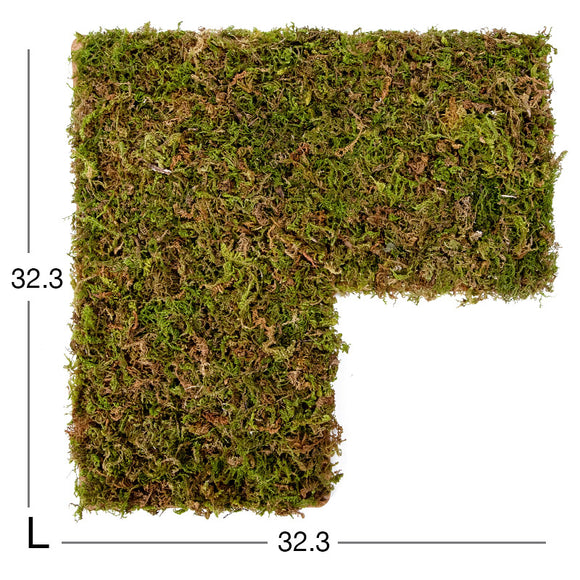 Niteangel Moss Mat For 3 Rooms Hideout Large (32.3x32.3cm)