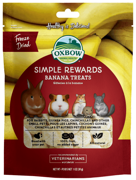 Oxbow Simple Rewards Banana Treats (1oz)