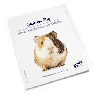 Bunny Nature Books Guinea Pig (bunnyBooks series)