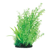 GEX Mix Plants L Ambulia (13x13x23cm)