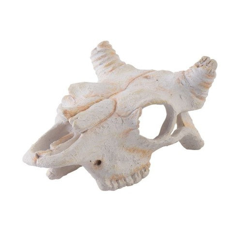 Exo Terra Buffalo Skull Small (11.5x7.5x5.5cm)